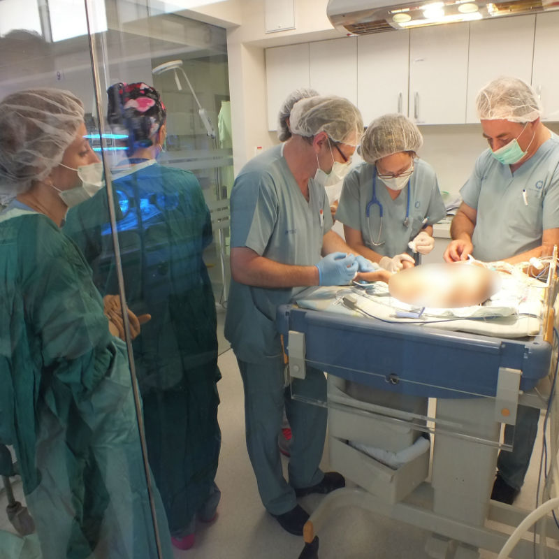 הניתוח בפגה בחדר הניתוח החדש